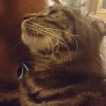 Andrew Greathouse - @agreathouse37 - Instagram
