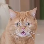 Гречушкин Андрей - @andy_grechka - Instagram