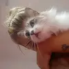 andy - @andygrechinsky - TikTok