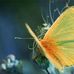 Andy Grewal - Facebook