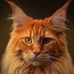 Andy Grewal - Facebook