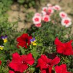andygrewal - @andygrewal8150 - Instagram