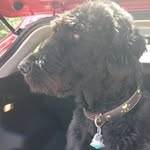 Andy Grice - @andy.grice - Instagram