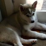 Andy Grieve - @andy.grieve.70 - Instagram