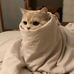 Andrew Grimsley - Facebook