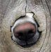 Andy Grindle - Facebook