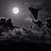 Andy Grindle - Facebook