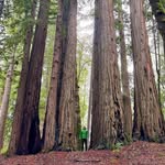 Andy Grinstead - @canyoncanopy - Instagram