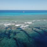 Andy Grocott - @allatsea_nz - Instagram