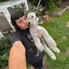 Amanda • LA Dog Groomer - @andythegroomer - TikTok