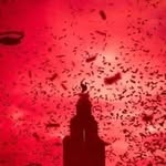 Andy Groom - @agroom34 - Instagram