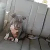 Mandy Groves - @mandy.groves - TikTok
