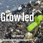 Andrew Barnes - @andygrowled - Instagram