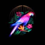 Andy Grue - Facebook