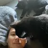 Andy Guajardo - @veggiewall - TikTok