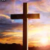 Andy Guajardo - @god_is_great72 - TikTok