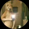 Andy Guardado - @andy.guardado1 - TikTok