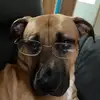 andyguerinn - @andyguerinn - TikTok