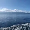 Andy-guest - @guest4879 - TikTok