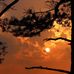 Shenandoah River Raymond R. "Andy" Guest Jr. State Park - Facebook