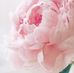 Andy Guillen - Facebook