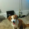 andygummo - @andygummo - TikTok