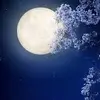 Andy Gunther - @andy.gunther - TikTok