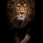 Andy Gupta Amusa - @andygupta10 - Instagram