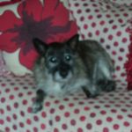 Andy Gurney - @andy.gurney.756 - Instagram