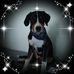 Andy Guth - Facebook