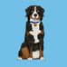 Andy Gutman - Facebook