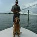 Andy Habermann - Facebook