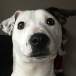 Andy Hadley - @andyhadley3106 - Instagram