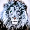andy_hajek - @andreashajek.cz - TikTok
