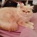 Andy Halim - Facebook