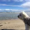 Andy Hamer - @2157359637 - TikTok