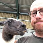 Andy Hamer - @andy.hamer.395 - Instagram
