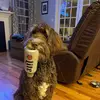 Andy Hamlin - @givemeabeer45 - TikTok