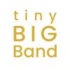 AndyHammer - @tinybigband - TikTok
