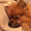 Andy_Han - @andy_han - TikTok