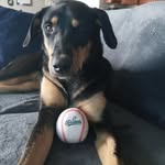 Andy Haney - @superdog1038 - Instagram