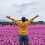 Andy Hartono - @andyh.ang - Instagram