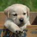 Andy Hanisch - Facebook