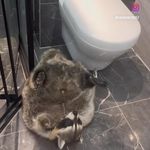 Andy Hayden - @haruki.aikawa - Instagram