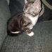 Andy Healey - Facebook