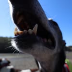 Andy Healey - @ndhly2001 - Instagram