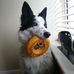 Andy Healey - Facebook
