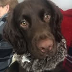 Andy Healy - @healy6694 - Instagram