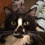 Andy Heller - @heller1972 - Instagram