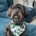 Andy Hickey - Facebook